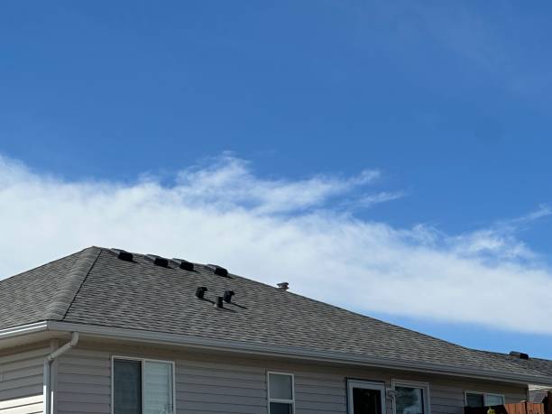 Best Roof Insulation Installation  in Cottonwood Shores, TX